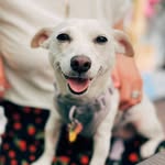 turtlebaby__ profile picture