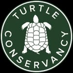 turtleconservancy profile picture