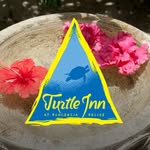 turtleinn profile picture