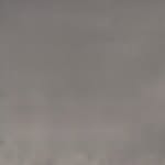 tusharkaushal550 profile picture