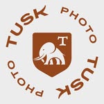 tuskphoto profile picture