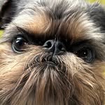 tuttle_monster profile picture