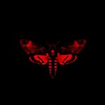 twiggysplanet profile picture