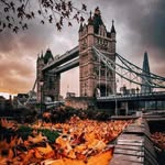 twilightravels profile picture
