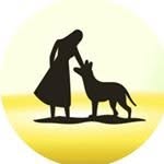 twohandsfourpaws profile picture