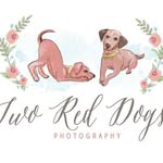 tworeddogsphotography profile picture