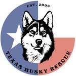 txhuskyrescue profile picture