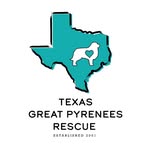 txpyrs profile picture