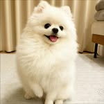 tyaginysa profile picture