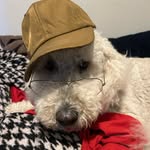 tyler.hailstorm profile picture