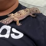tyoneon818 profile picture