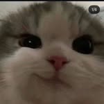 uakash_1 profile picture