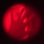 ubi.sunt profile picture