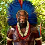 ubiracipataxo profile picture