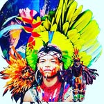ubirananpataxo profile picture