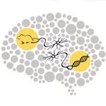 ucineurobio profile picture