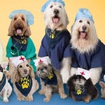 ucla_pac profile picture