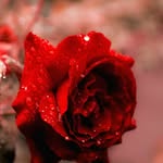 udaykumar9844 profile picture