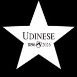 udinesecalcio profile picture