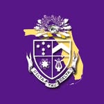 ufdelts profile picture