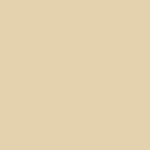 ugorondinone0 profile picture