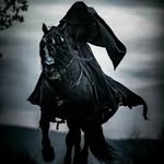 umaii_horse profile picture