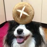 umetaturou profile picture