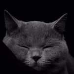 umi__oo3 profile picture