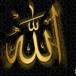 umnooh68 profile picture