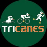 umtricanes profile picture