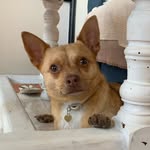 unbreakableohiss profile picture