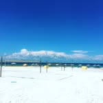 undertowbeachbar profile picture