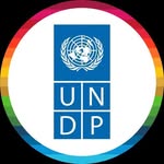 undp profile picture