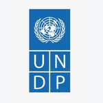 undpinindia profile picture
