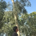 unfav.omrajput profile picture