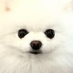 uniloemily profile picture