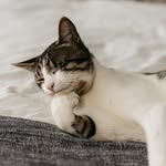 unosjourney profile picture