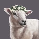 unrulywoolies profile picture
