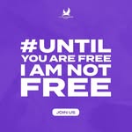 untilfreedom profile picture