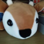 upfung profile picture