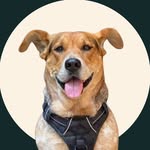 upperwestsimon profile picture