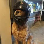 ur_fav_mia_11 profile picture