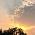 urooj_a_ profile picture