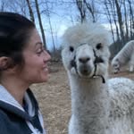 useless_farm profile picture