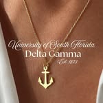 usfdeltagamma profile picture