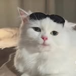 usmanmubarik_ profile picture