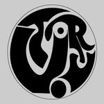 v.ri0t profile picture