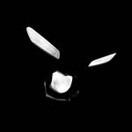 v2_champion profile picture