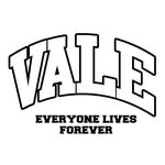 valelives profile picture