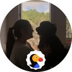 valentinathedodo profile picture